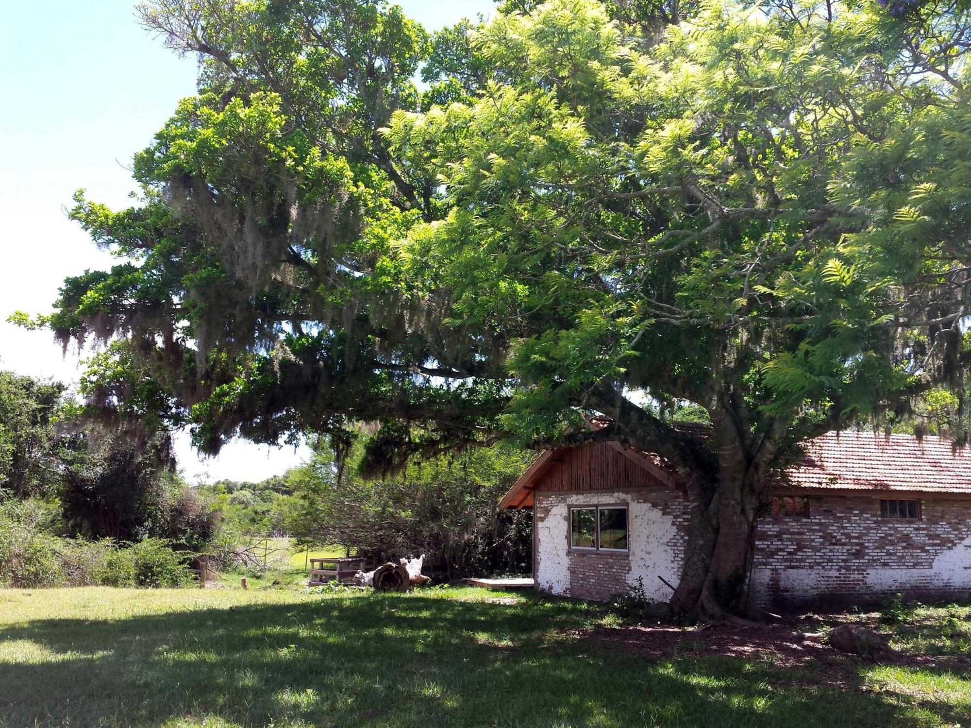 Aldeia Santuario Das Aves Tavares Room photo
