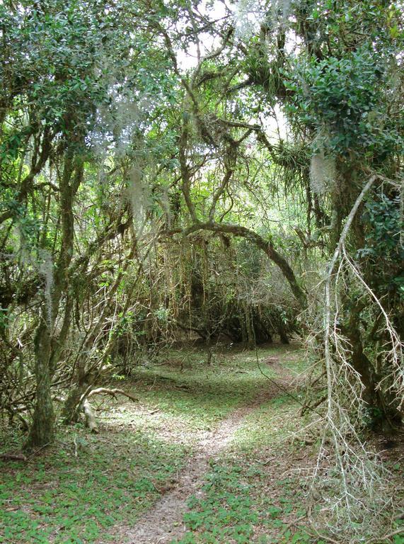 Aldeia Santuario Das Aves Tavares Exterior photo